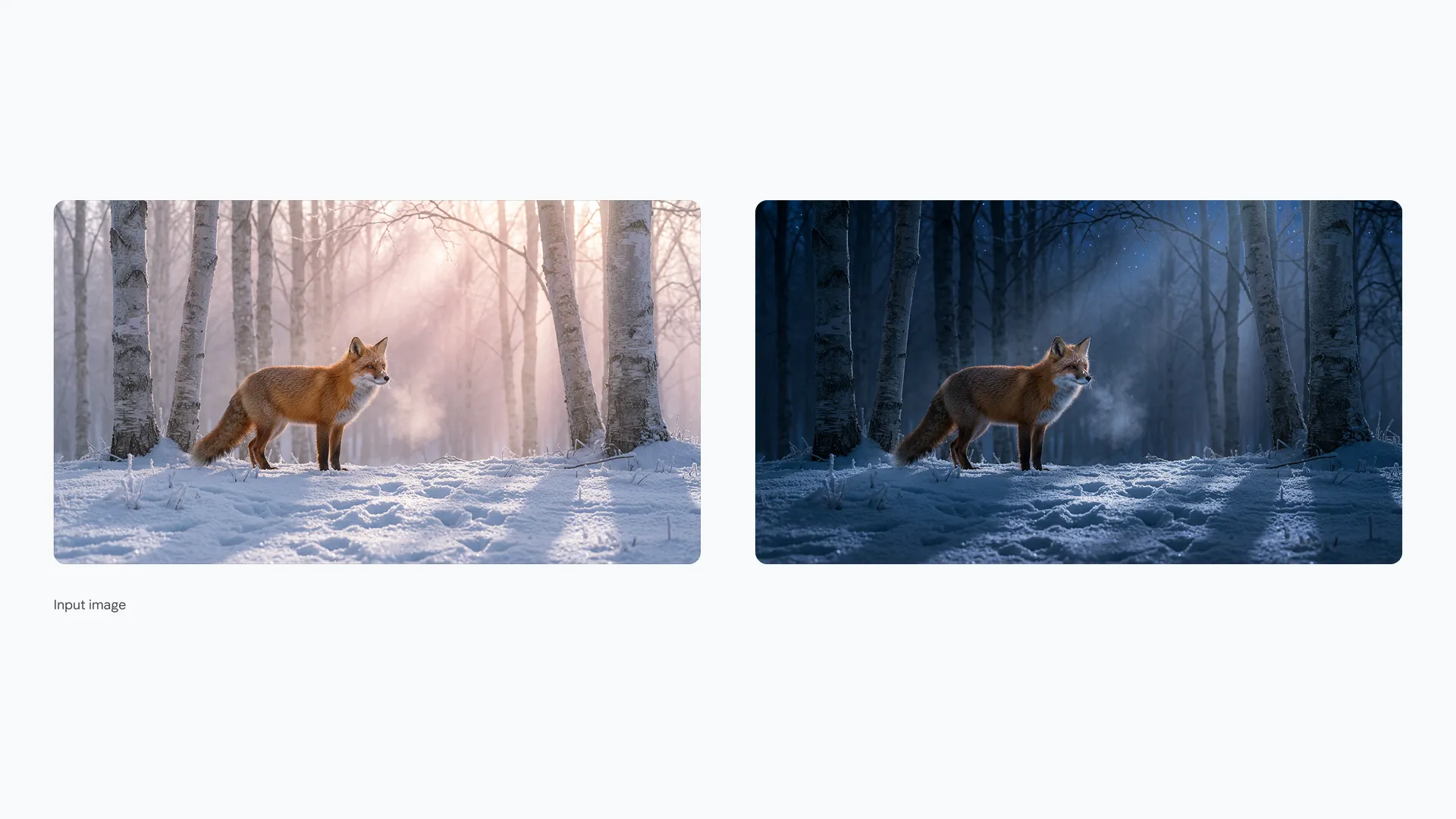 Professional Lighting & High-Resolution Output - Example 1